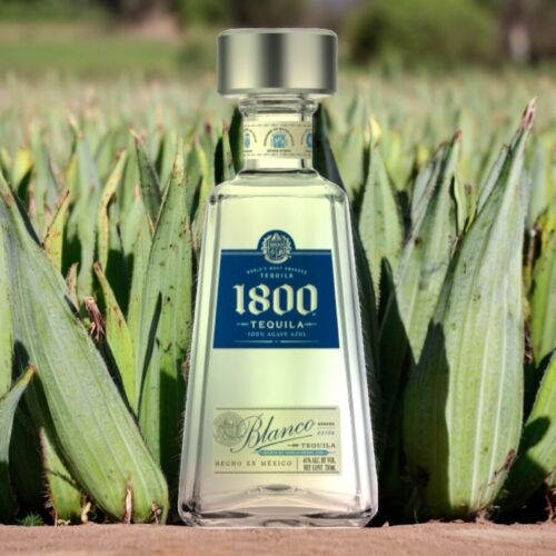 Tequila 1800 Silver (Blanco)