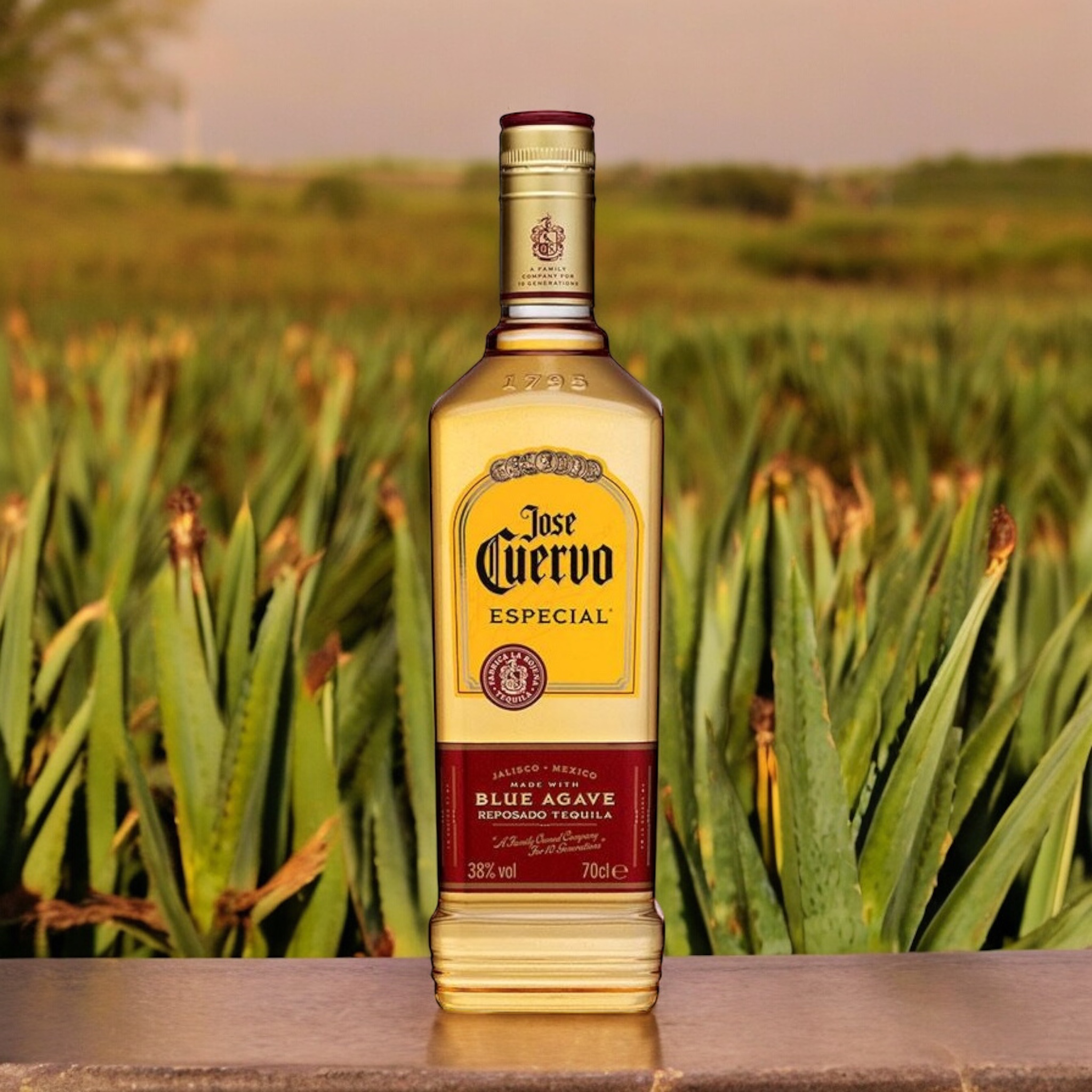 Tequila Jose Cuervo Especial Gold