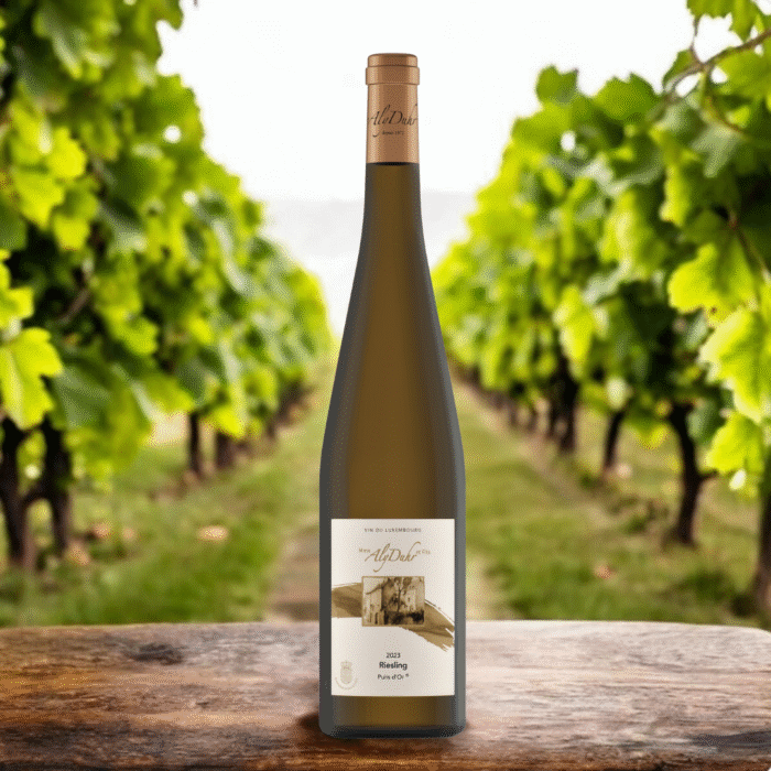 Riesling Puits d'or - 75 cl